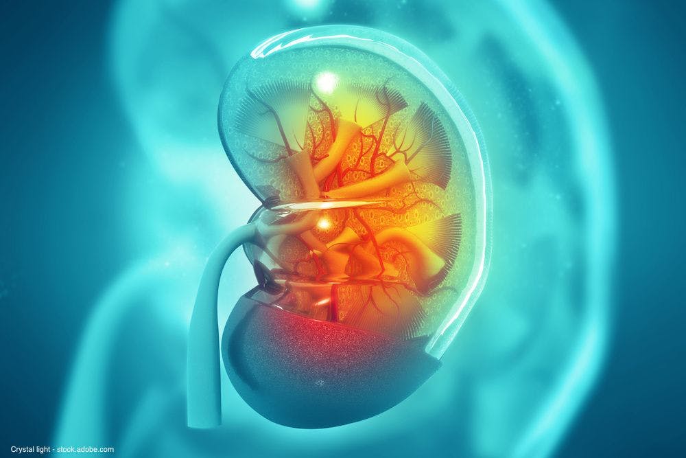 No survival falloff with use of minimally invasive surgery in early-stage kidney cancer